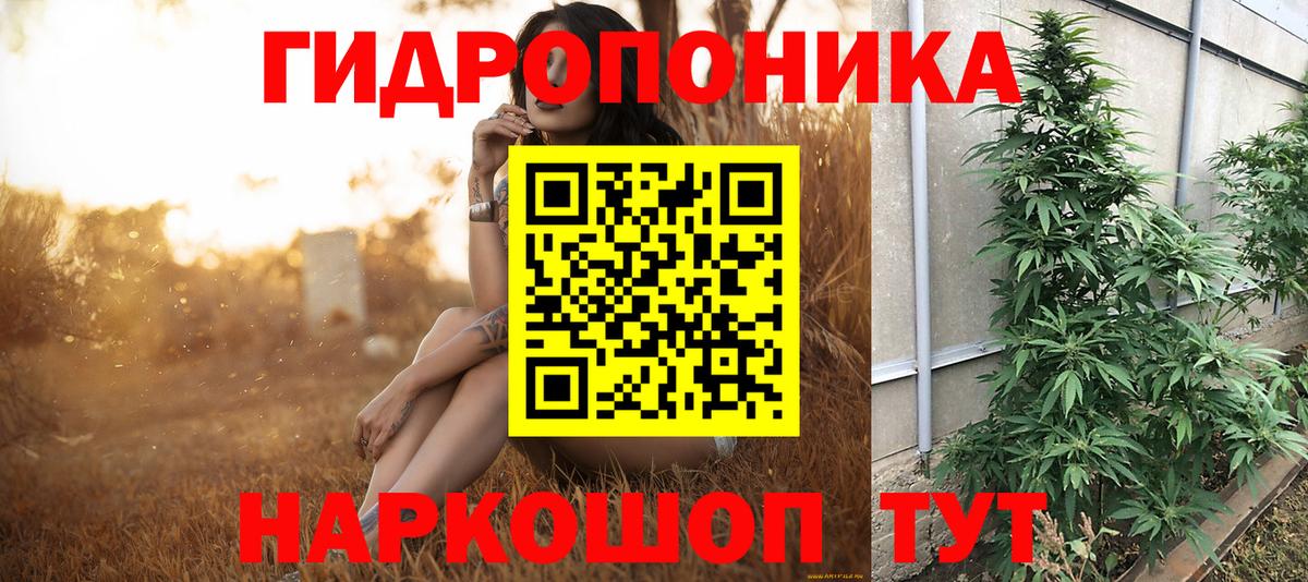 Канабис план Надым